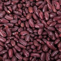 Kidney beans, Black beans, butter, chickpeas, cocoa, broad, Lentils, Lima, Mung, Vanilla, Soybeans, vigna, peas