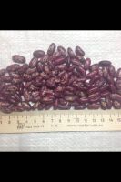 Red speckled kidney beans