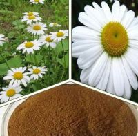 High quality Pyrethrum powder for sale