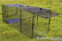 Live Animal Trap