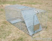 collapsible dog cage