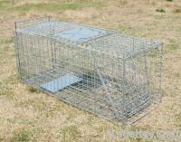 collapsible dog cage