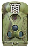 New Ltl Acorn Hunting Trail Scouting