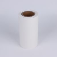 Smooth PP sheet  flexible glossy polypropylene material roll 0.3 mm to 3 mm