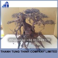 Bonsai Driftwood Supplier For Aquariums