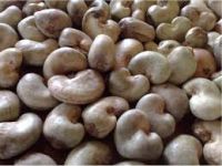 RAW CASHEWS