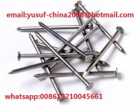 all kinds of common nails &amp;wood nails for conctruction 