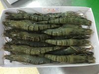 Frozen Raw Black Tiger Prawn Shrimp With HOSO / Frozen Peeled Red Shrimp for sale