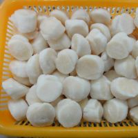 10-12g fresh High quality Frozen Scallop without shell / frozen live fresh scallop with half shell 