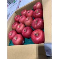 Popular flavor high quality and cheap price fuji apple fresh fruit 