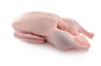 frozen whole duck