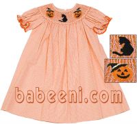 Embroidered baby dress (DR 799)