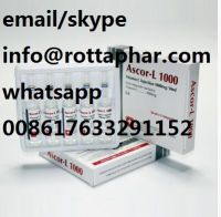 Collagen Filler Injection