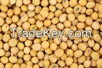 Soybeans