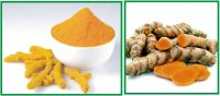 Turmeric Spice