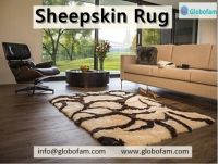 Buy Online Sheepskin Rug at Globofam