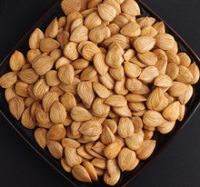 Wholesale Almonds Nuts, Cashew Nuts