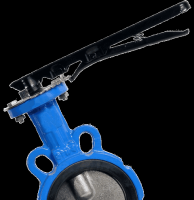 Double stem wafer butterfly Valve