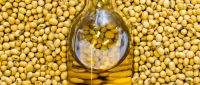 Refined soybean oil hot sale