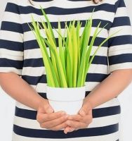 Flowerpot Ballpoint Pen