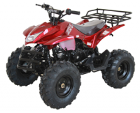 best ATV 125CC-3 Different Style Safety popular Motorbike on hot sale