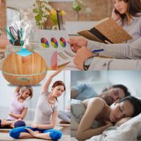 Home Application 400ml Nebulizing Essential Oil Diffuser Humidifier