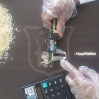 Basmati Rice Quality Inspection Service