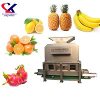 Large Scale Fruit Juicer Machine/Fruit Peeling and Juicing Machine