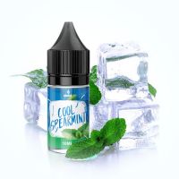 Mint Flavour Eliquid