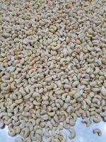 Cashew Nuts / Wholesale Price Cashews kernel factory