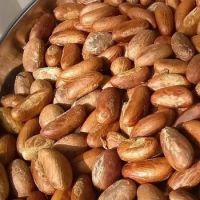 Bitter Kola Nuts (DRY NUTS &