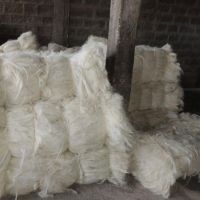 UG Grade White Sisal Fiber For