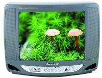 14"/21" color CRT TV 2