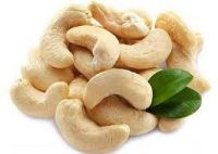 Cashew nut ww240/ ww320/ ws/ lp /SUPREME RAW CASHEWS