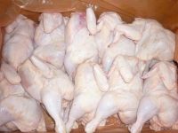 Halal Frozen Whole Chicken and Chicken Parts for Sale 