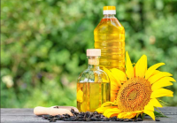 Sunflower Oil