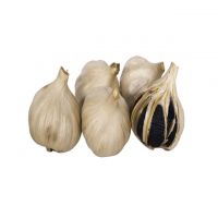 High quality natural black garlic for sale