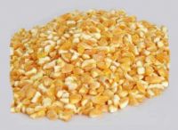 Yellow Maize