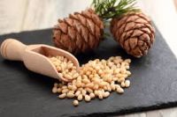 High Quality pine nut 