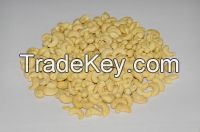 CASHEW NUT FROM VIETNAM HIGH QUALITY, COMPETITIVE PRICE