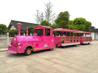 50 Seater Sightseeing Train Electric Mini