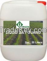 Urgub Organic  Liquid Bat Guano Fertilizer