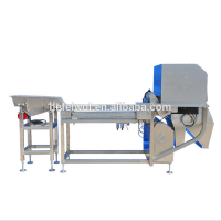 garlic clove color sorter machine made in China Wol optoelectronics