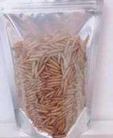 CALCIUM WORM - BIRD FOOD - CHEAP PRICE from VietNam