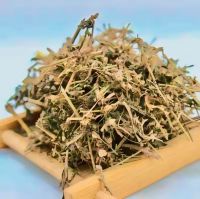 Top Selling Natural Dried Glass Jelly Leaves With Good Quality And Low Price In Bulk Quantity From Vietnam