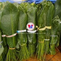 NATURAL DRIED DONG LEAVES FOR TRADITIONAL