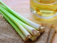 CRISP AND AROMATIC FRESH LEMONGRASS / FAMILY