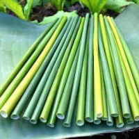 PREMIUM SEAGRASS STRAWS / HANDCRAFTED QUALITY / AFFORDABLE VALUE / MADE IN VIETNAM