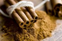 PLANT-SOURCED CINNAMON FORMULA / NO FILLERS