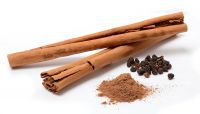BOTANIC CINNAMON BLEND / IMMUNE SUPPORT / PLANT